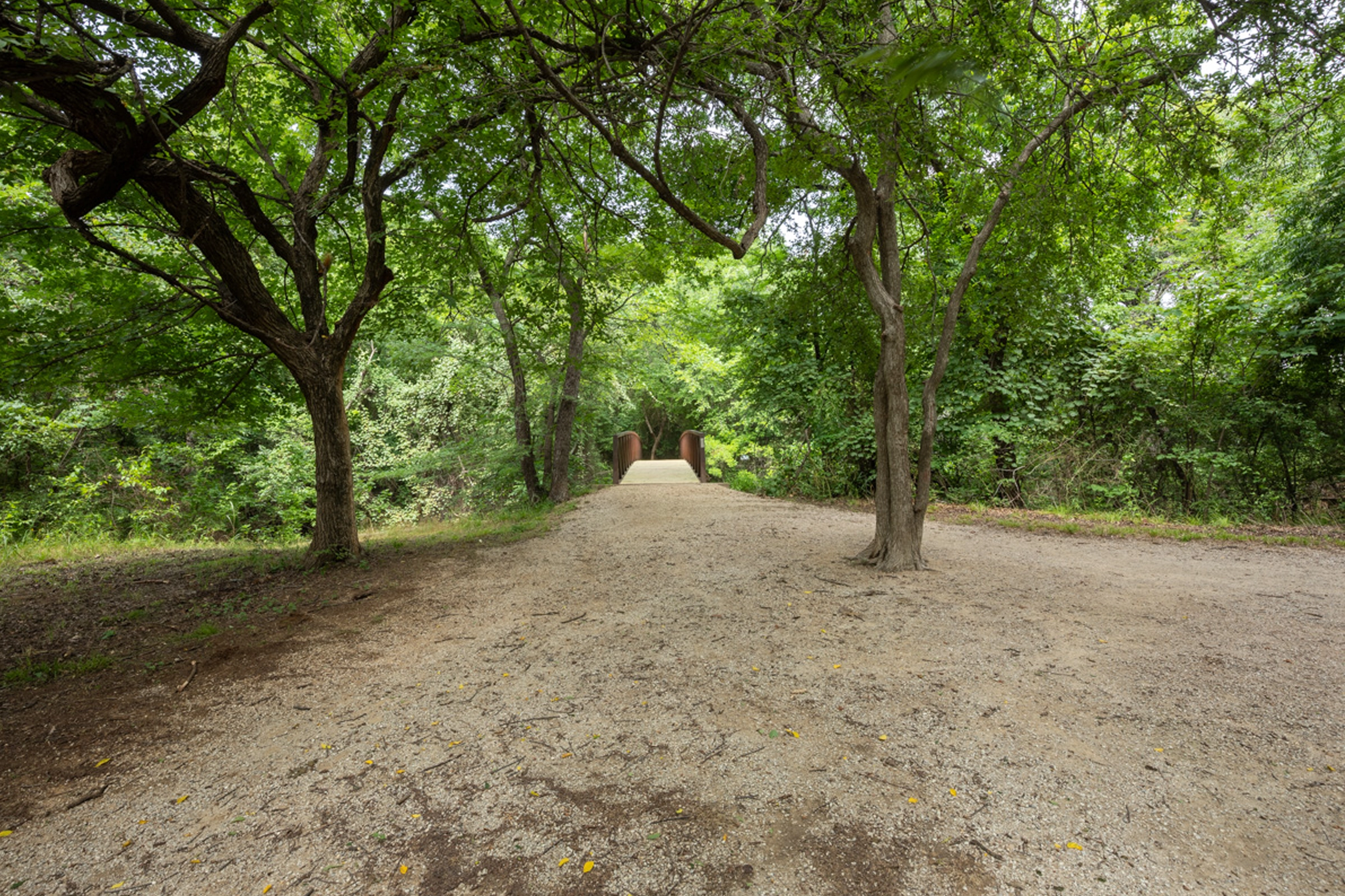 Exploring Bear Creek Greenbelt & Local Euless Parks